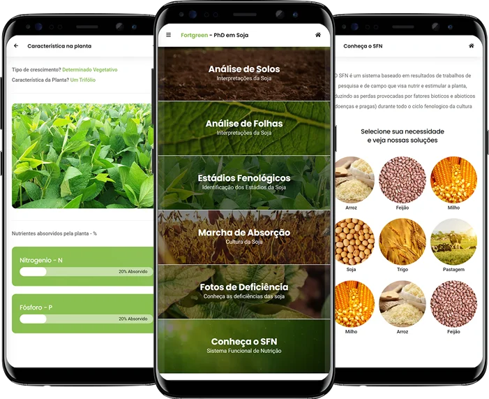 Thabata Bastos - PhD em Soja